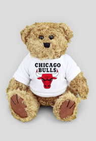 chicago bulls bear