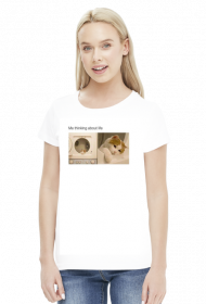 Me thinking about life meme