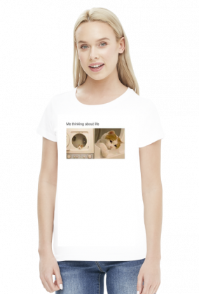 Me thinking about life meme