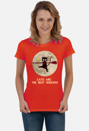 cats are the best seekers