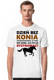 Konie. Prezent. Koń.