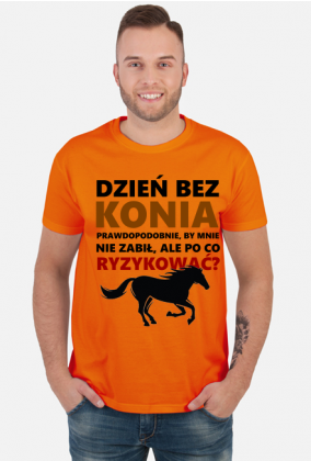 Konie. Prezent. Koń.