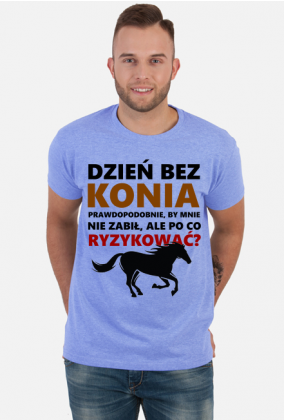 Konie. Prezent. Koń.