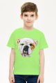 Bulldog