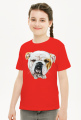 Bulldog