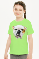 Bulldog