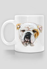 Bulldog