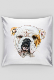 Bulldog