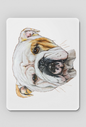 Bulldog