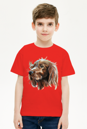 setter irlandzki