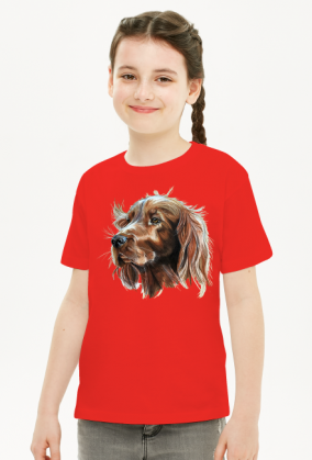 setter irlandzki