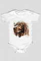 setter irlandzki
