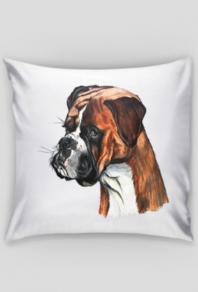 Boxer