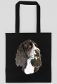 Springer spaniel