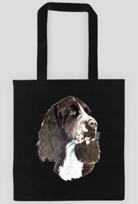 Springer spaniel