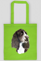 Springer spaniel