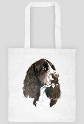 Springer spaniel