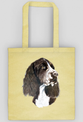 Springer spaniel