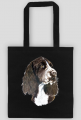 Springer spaniel