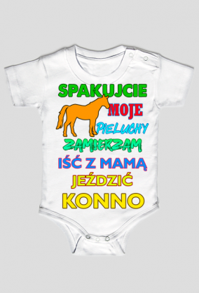 Konie. Koń. Kocham Konie. Prezent dla konia. Jazda konna. Sklep konny. Stajnia. Stajenny. Ile kosztuje koń?