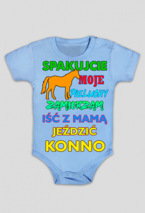 Konie. Koń. Kocham Konie. Prezent dla konia. Jazda konna. Sklep konny. Stajnia. Stajenny. Ile kosztuje koń?