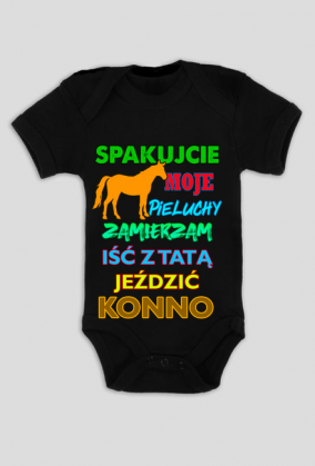 Konie. Koń. Kocham Konie. Prezent dla konia. Jazda konna. Sklep konny. Stajnia. Stajenny. Ile kosztuje koń?
