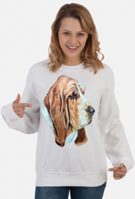 Basset