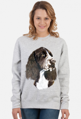 Springer spaniel