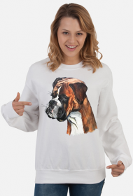 Boxer