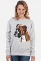 Boxer