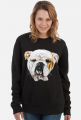 Bulldog