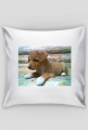Puppy pillow