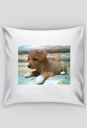 Puppy pillow