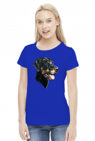 Doberman