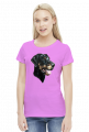 Doberman