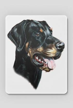 Doberman