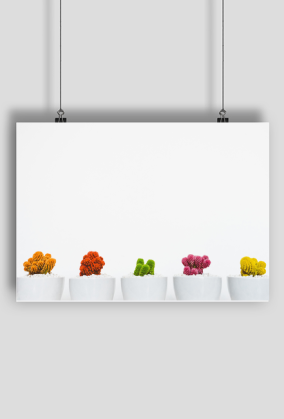 Colorful Cacti Poster A2