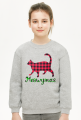 Meowymas, Koci prezent na święta lub mikołajki dla dziecka