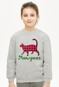 Meowymas, Koci prezent na święta lub mikołajki dla dziecka