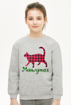 Meowymas, Koci prezent na święta lub mikołajki dla dziecka