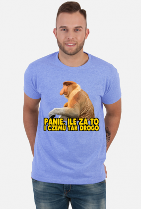 ILE ZA TO KOSZULKA MĘSKA