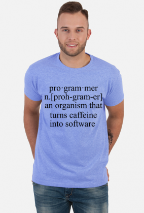 pro·gram·mer