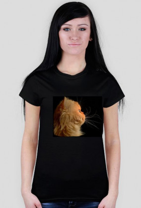 Proud cat
