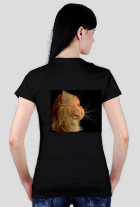 Proud cat