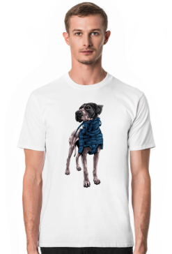 hunting dog