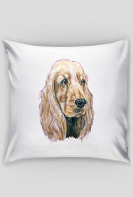 Spaniel