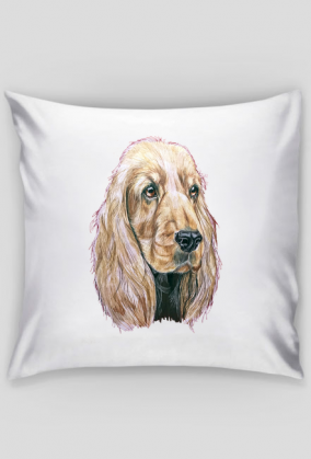 Spaniel
