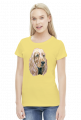 Spaniel