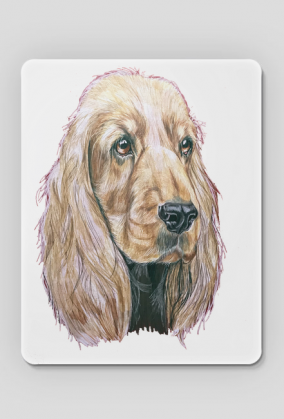 Spaniel