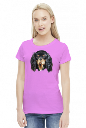 king charles cavalier